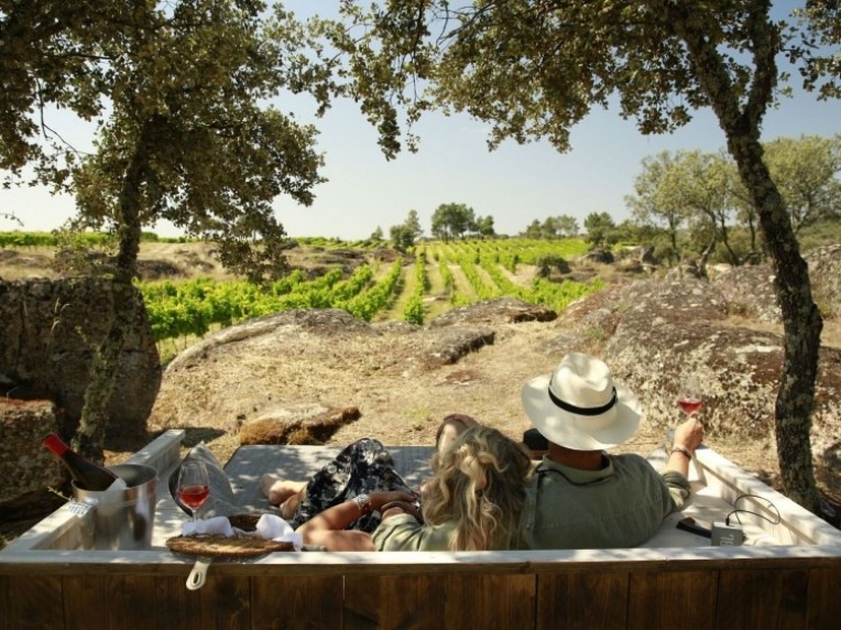 Picnic in front of the wineyards