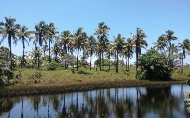 Landscape near Lagoa de Cassange