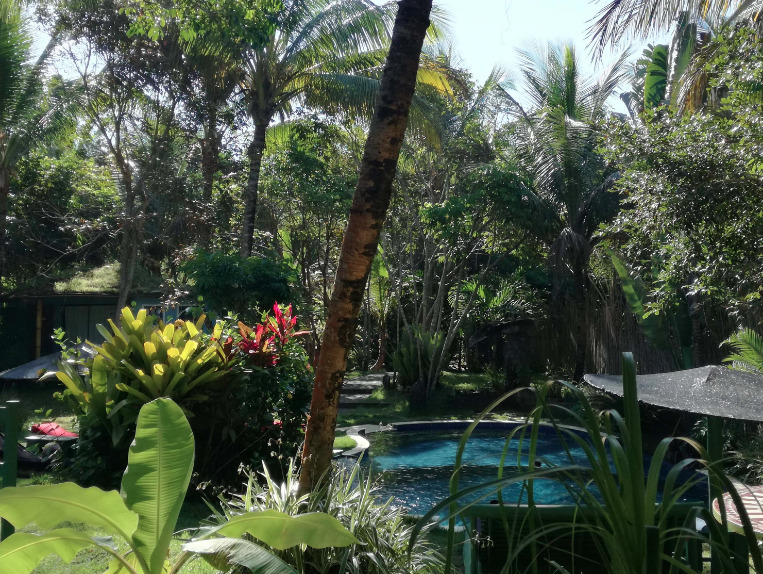 Garden with palmtrees