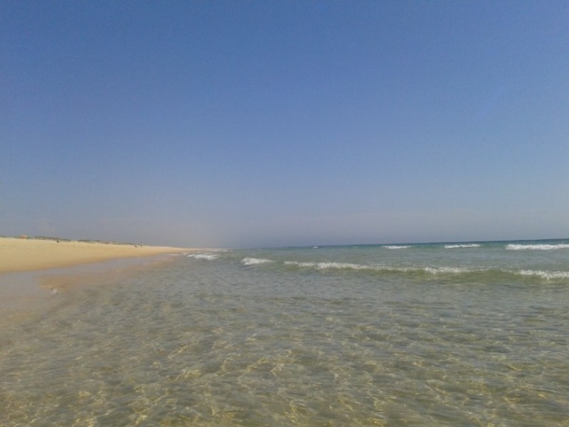 Beautiful beach with clear water