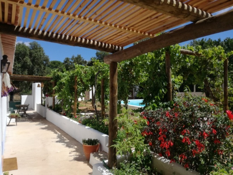 BomBom House