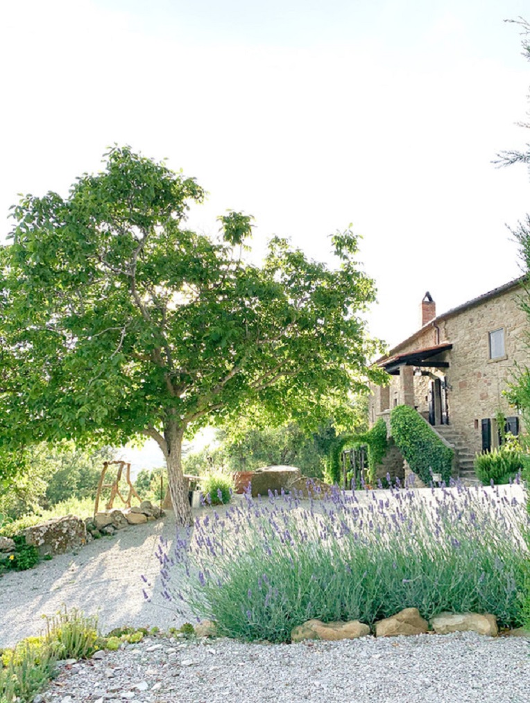Courtyard with lavender