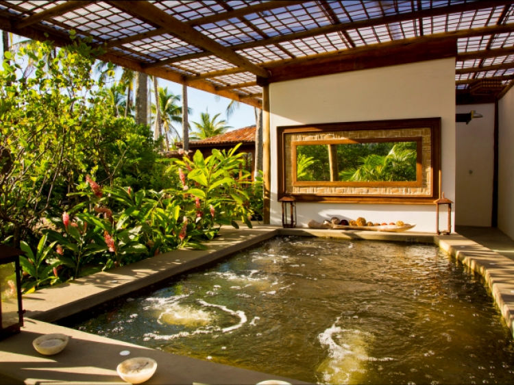 Palmtrees and pool at Casa dos Arandis